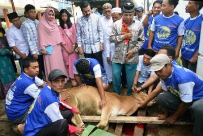 Wagubsu Tengku Erry Nuradi dan keluarga menyaksikan penyembelihan sapi kurban di halaman Mesjid Daarul Azhar Jadid, Komplek Perumahan Villa Gading Mas, Jl. Marendal Medan, Minggu (5/10/2014). SUMUT BERITA | WIN's