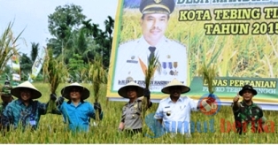 Walikota Tebing Tinggi Ir.H.Umar Zunaidi Hasibuan.MM didampingin FKPD Panen perdana padi.