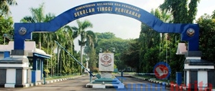 Sekolah tinggi perikanan