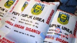 pupuk