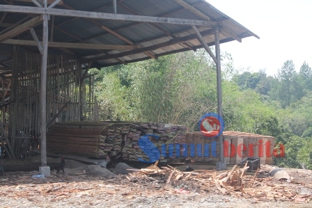 Barang bukti kayu olahan yang diamankan dari kawasan hutan Kutarayat dititip di kilang pengolahan kayu di Jalan Lingkar Kabanjahe. SUMBER/pardi simalango