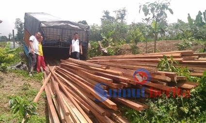 Personil Unit Tipiter Polres Karo saat menemukan barang bukti kayu dan truk di lokasi. SUMBER/pardi simalango