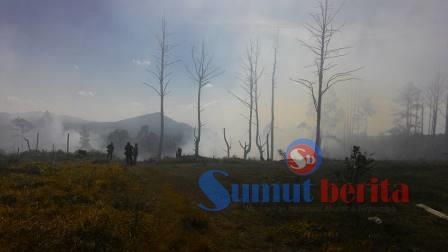 Sejumlah titik api yang telah membakar pohon pinus di sekitar Siosar. SUMBER/pardi simalango